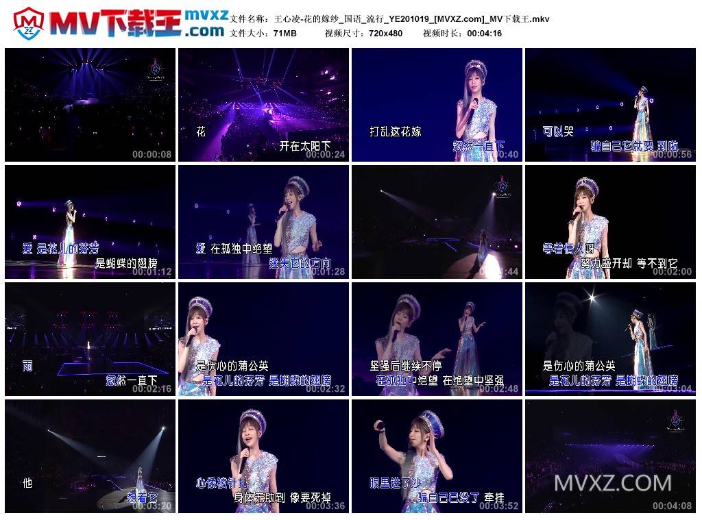 王心凌-花的嫁纱_国语_流行_YE201019